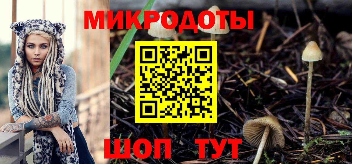 Галлюциногенные грибы GOLDEN TEACHER  Вход с VPN  сколько стоит  Ирбит 